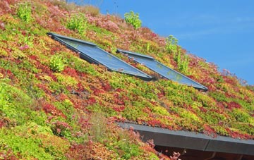 Ordie living roof systems