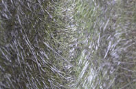 Ordie fibreglass roof work